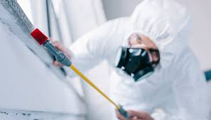 Best Commercial Pest Control  in Dunnavant, AL